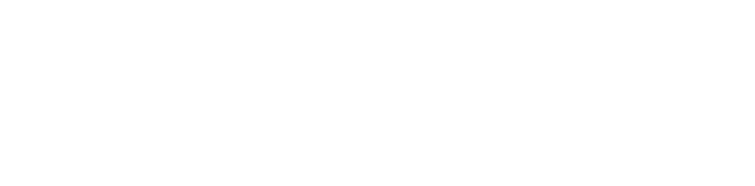 hci group logo-white